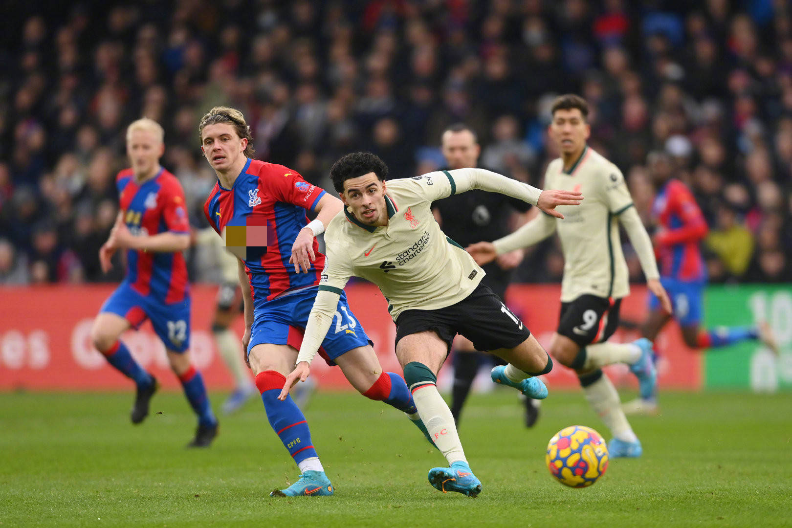 一家国内知 一家国内知